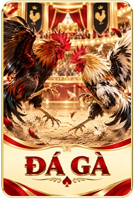 thumb đá gà
