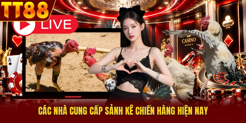 Đá Gà TT88 - Sảnh Cược Kê Chiến Trực Tuyến Sôi Động 2026 2 Các nhà cung cấp sảnh kê chiến hàng hiện nay