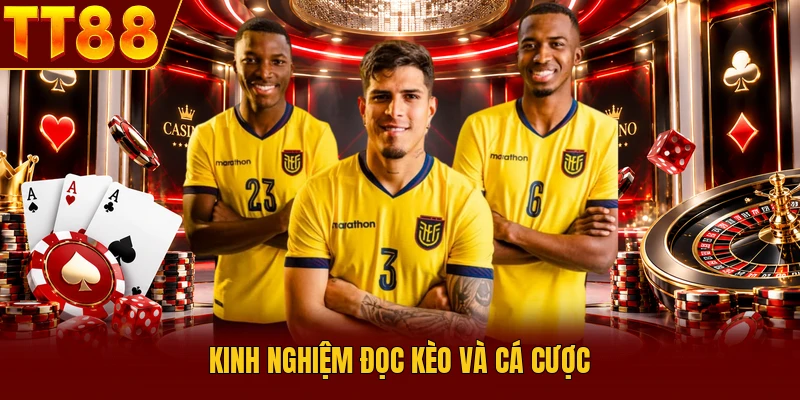 Kèo Đồng Banh Nửa Trái Và Cách Phân Tích Tỷ Lệ Chuẩn 4 Kinh nghiệm đọc kèo và cá cược